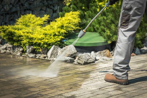 Best Gutter Cleaning and Brightening in Skidmore, TX