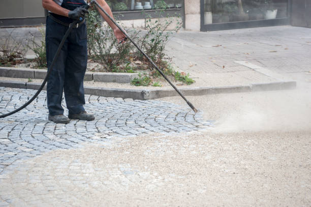 Best Fence Cleaning and Maintenance in Skidmore, TX